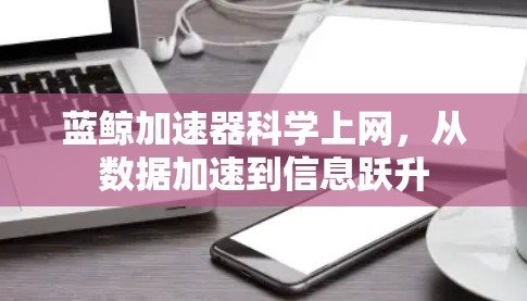 蓝鲸加速器科学上网,从数据加速到信息跃升