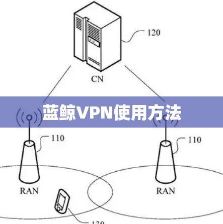 蓝鲸VPN使用方法