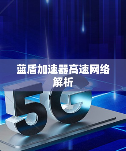 蓝盾加速器高速网络解析