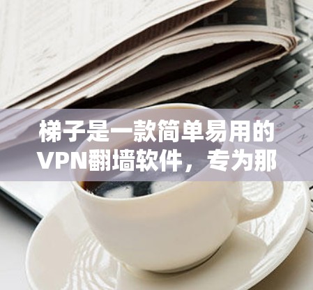 梯子是一款简单易用的VPN<strong>翻墙软件</strong>,专为那些在无线网络中断时需要远程连接而设计。它提供了一个简洁的界面,适合喜欢简单体验的用户。以下是梯子的详细评测