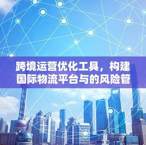 跨境运营优化工具,构建国际物流平台与的风险管理 跨境运营优化工具,构建国际物流平台与的风险管理