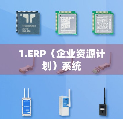 1.ERP(企业资源计划)系统 1.ERP(企业资源计划)系统