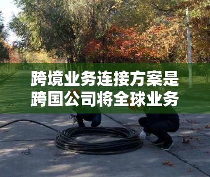 跨境业务连接方案是跨国公司将全球业务扩展到不同国家和地区时所设计的计划,旨在确保跨国间的顺利沟通和合作。以下是对该方案的详细分析和总结 跨境业务连接方案是跨国公司将全球业务扩展到不同国家和地区时所设计的计划,旨在确保跨国间的顺利沟通和合作。以下是对该方案的详细分析和总结