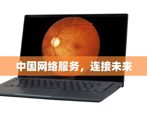 中国网络服务,连接未来 中国网络服务,连接未来