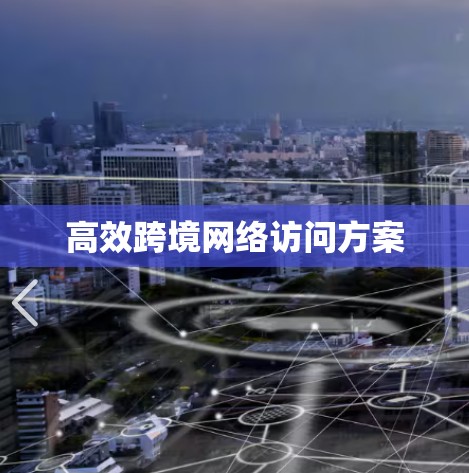 高效跨境网络访问方案