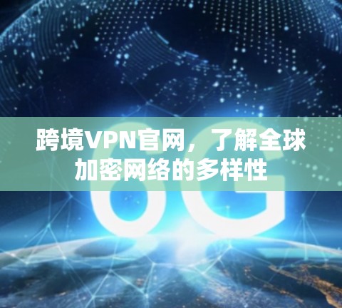 跨境VPN官网,了解全球加密网络的多样性
