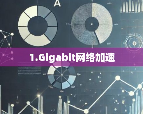 1.Gigabit网络加速