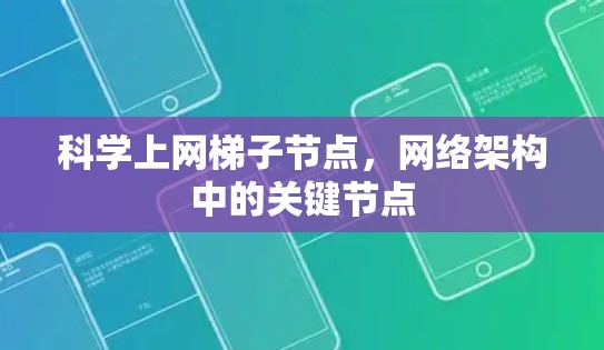 科学上网梯子节点,网络架构中的关键节点 科学上网梯子节点,网络架构中的关键节点