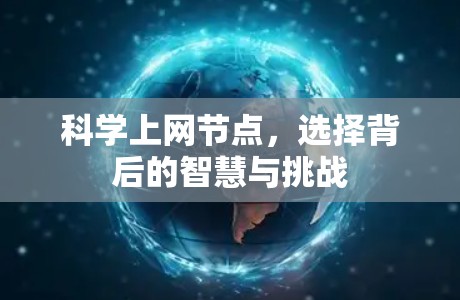 科学上网节点,选择背后的智慧与挑战