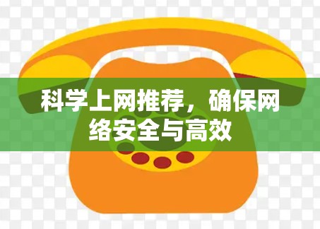 科学上网推荐,确保网络安全与高效