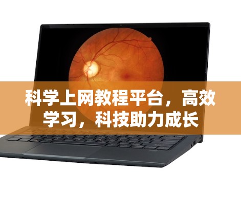科学上网教程平台,高效学习,科技助力成长