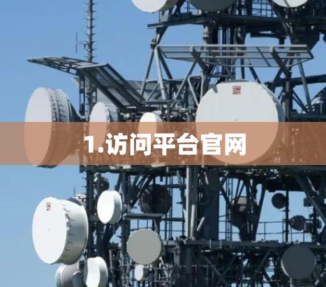 1.访问平台官网