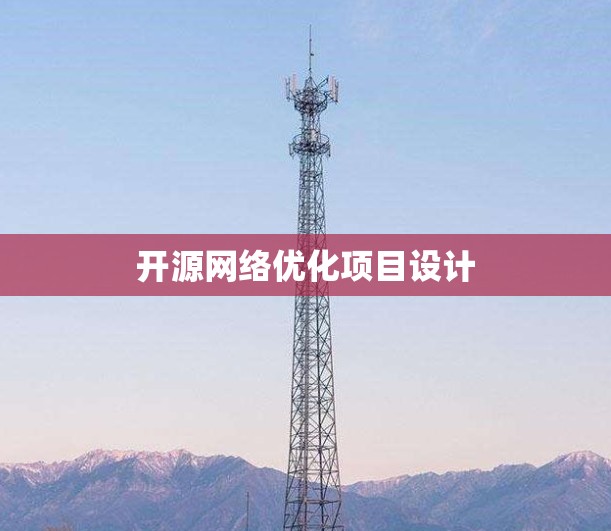 开源网络优化项目设计