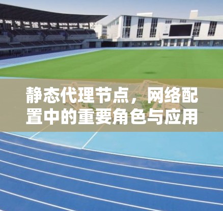 静态代理节点,网络配置中的重要角色与应用