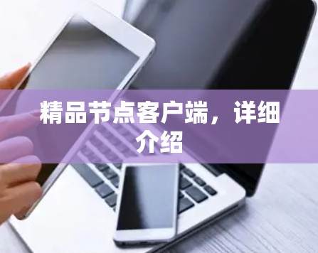 精品节点客户端,详细介绍