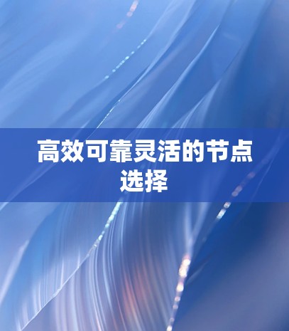 高效可靠灵活的节点选择
