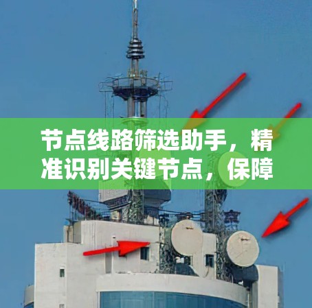 节点线路筛选助手，精准识别关键节点，保障网络安全与高效运行