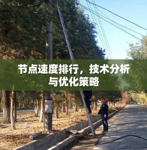 节点速度排行,技术分析与优化策略