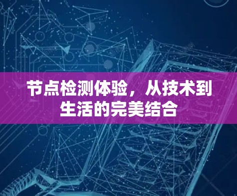 节点检测体验,从技术到生活的完美结合