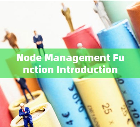 Node Management Function Introduction