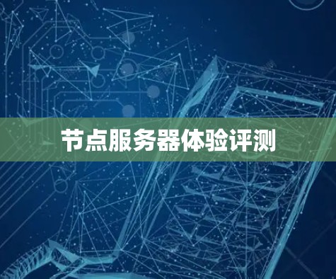 节点服务器体验评测