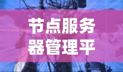 节点服务器管理平台（NSM）是一种用于管理节点服务器的软件工具，旨在支持分布式系统中的任务执行和容器化应用。以下是对NSM的详细分析