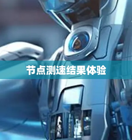 节点测速结果体验