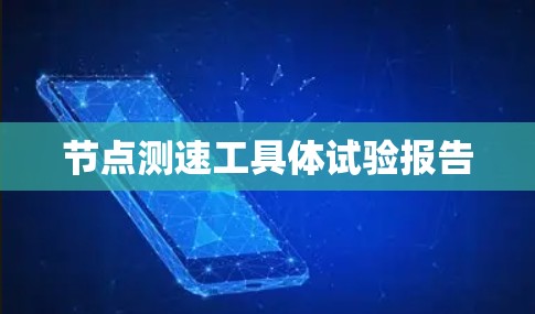 节点测速工具体试验报告