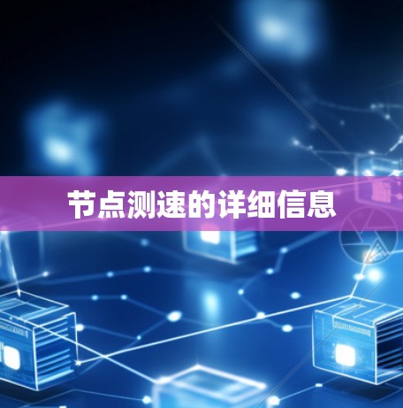 节点测速的详细信息