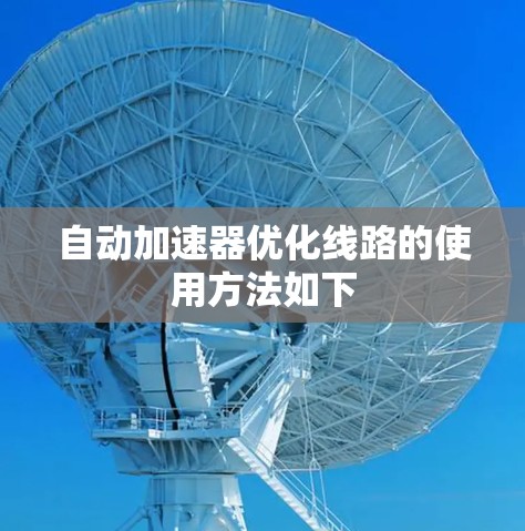 自动加速器优化线路的使用方法如下