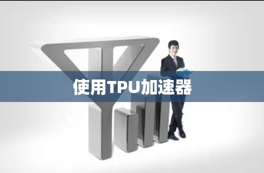 使用TPU加速器