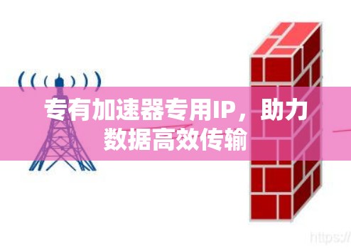 专有加速器专用IP,助力数据高效传输
