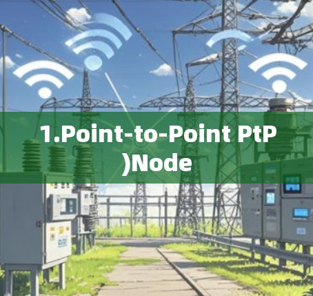 1.Point-to-Point PtP)Node
