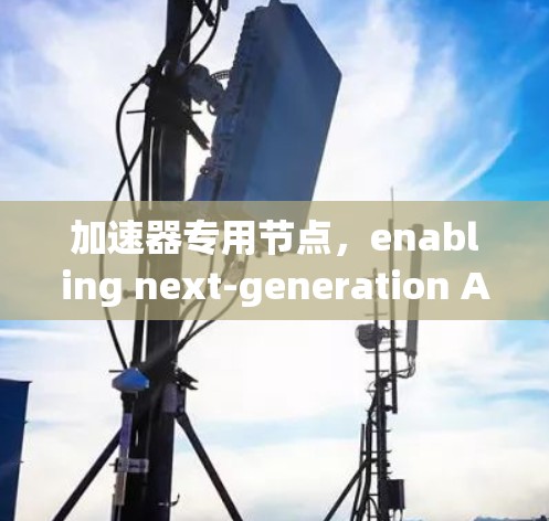 加速器专用节点，enabling next-generation AI and imaging computing