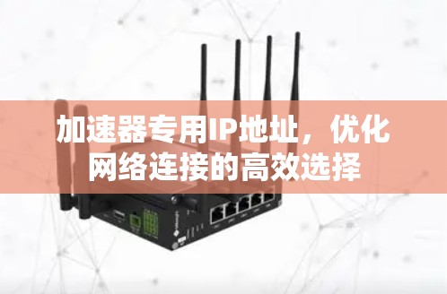加速器专用IP地址，优化网络连接的高效选择
