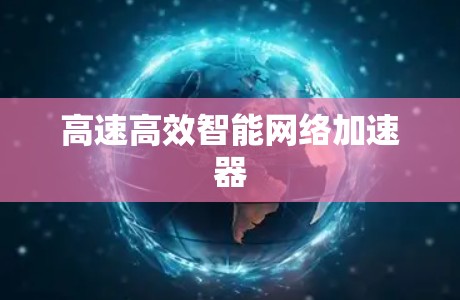 高速高效智能网络加速器
