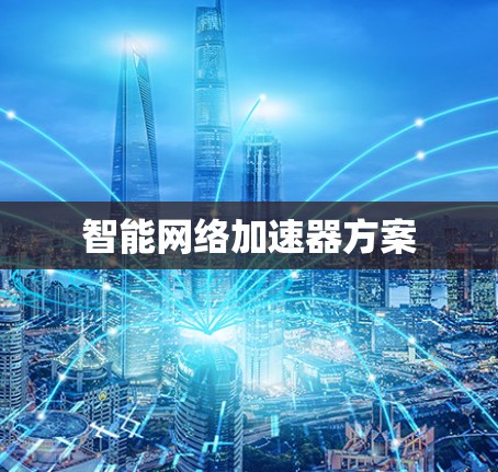 智能网络加速器方案
