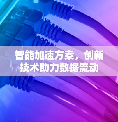 智能加速方案,创新技术助力数据流动