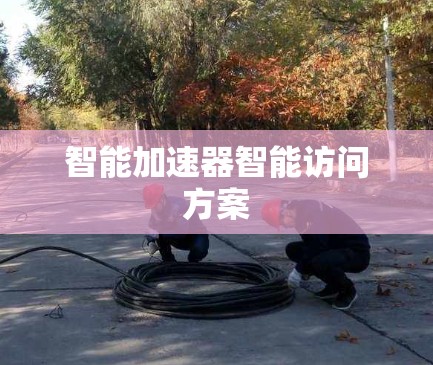 智能加速器智能访问方案
