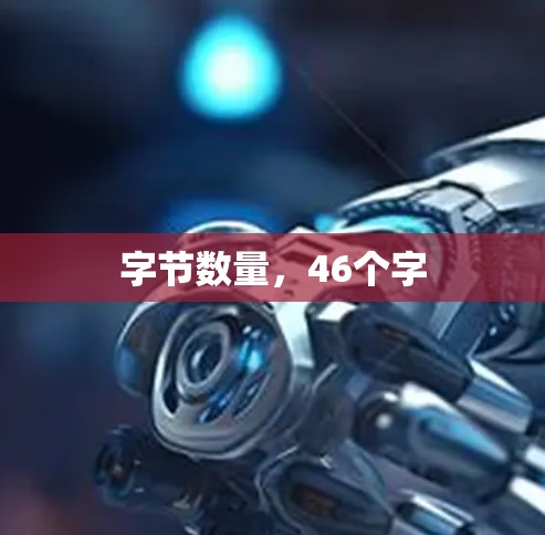 字节数量，46个字
