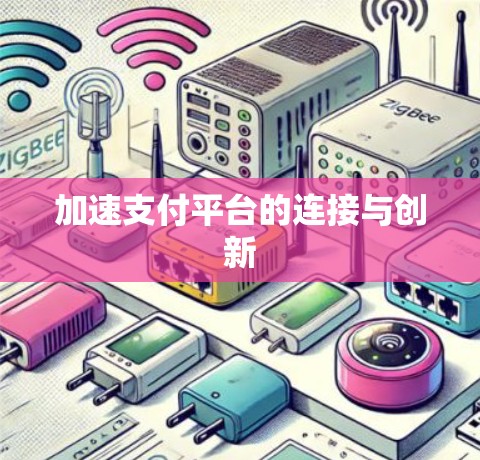 加速支付平台的连接与创新