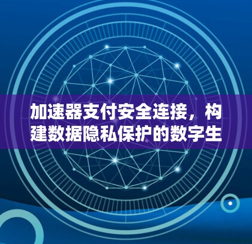 加速器支付安全连接,构建数据隐私保护的数字生态系统
