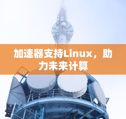 加速器支持Linux,助力未来计算