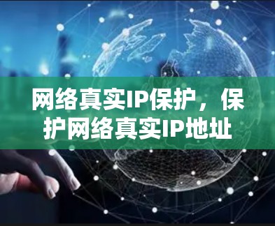 网络真实IP保护,保护网络真实IP地址的安全措施
