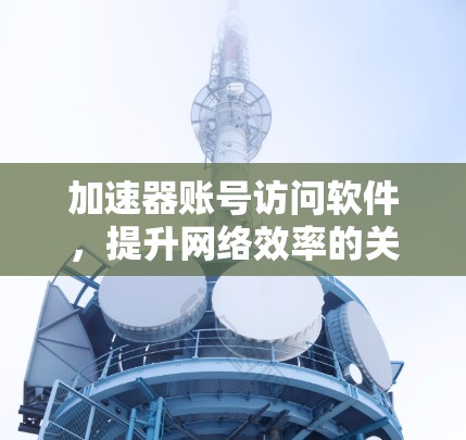 加速器账号访问软件,提升网络效率的关键工具