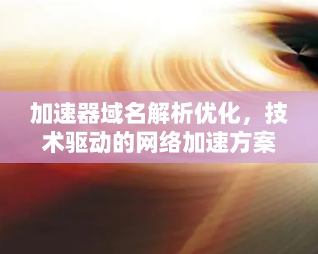 加速器域名解析优化，技术驱动的网络加速方案