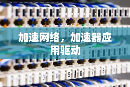 加速网络,加速器应用驱动
