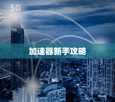 加速器新手攻略