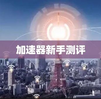 加速器新手测评