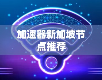 加速器新加坡节点推荐